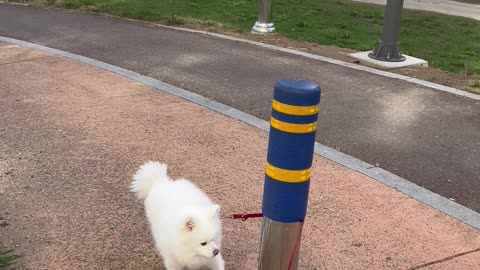 competition of strength