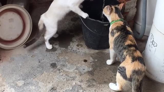 Delicious Water