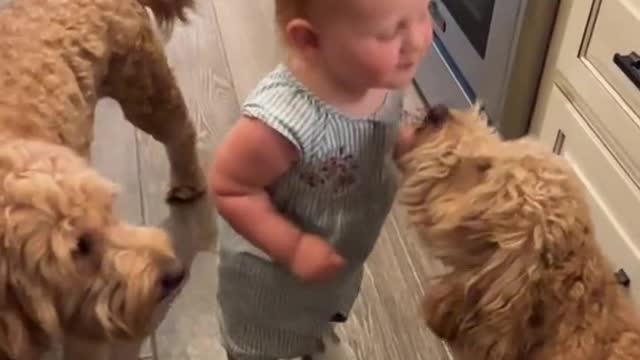 Puppy joins in on toddler's dance routine