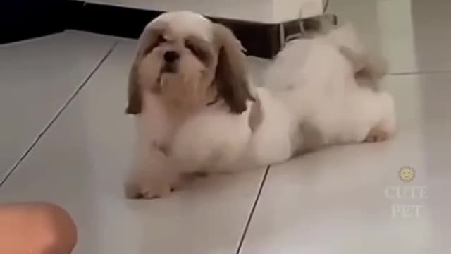 Don't forget I'm waiting for you home