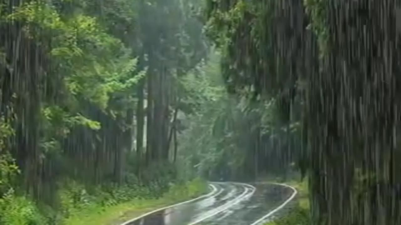 Beautiful Road And Rain