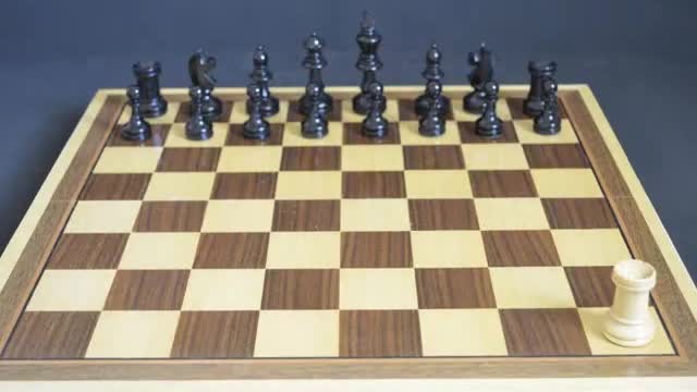 How Chess Pieces Move [Stop Motion]