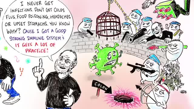 NICE MONTAGE ! How to boost your immune sytem by Georges Carlin