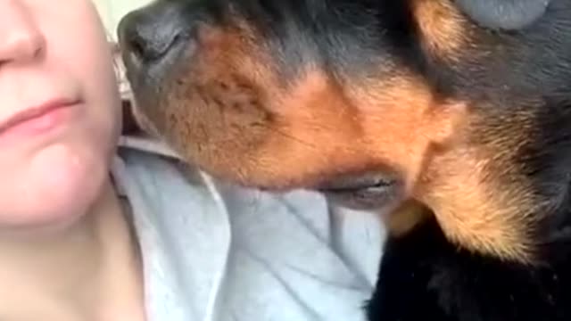 The dog's reaction when you tried to imitate its voice