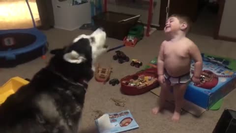 Baby talks to a husky and see what happens