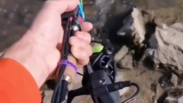 Fishing to get unique and expensive fish species