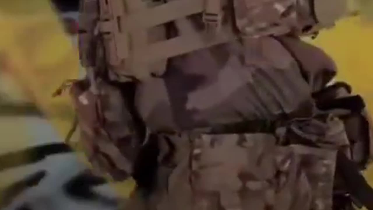 Military Dogs Watching Soldier's 6