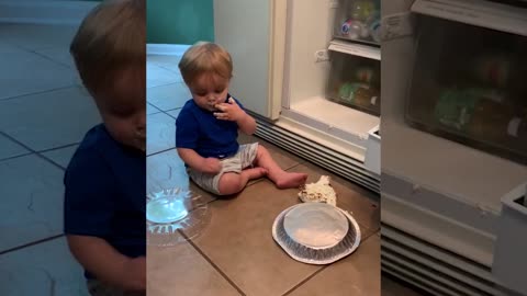 Funniest babies opening the fridge