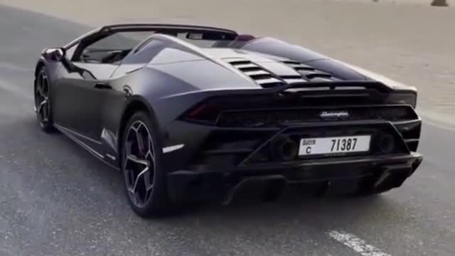 Lamborghini Lover