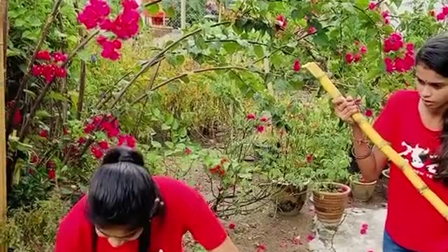 Who can challenge..