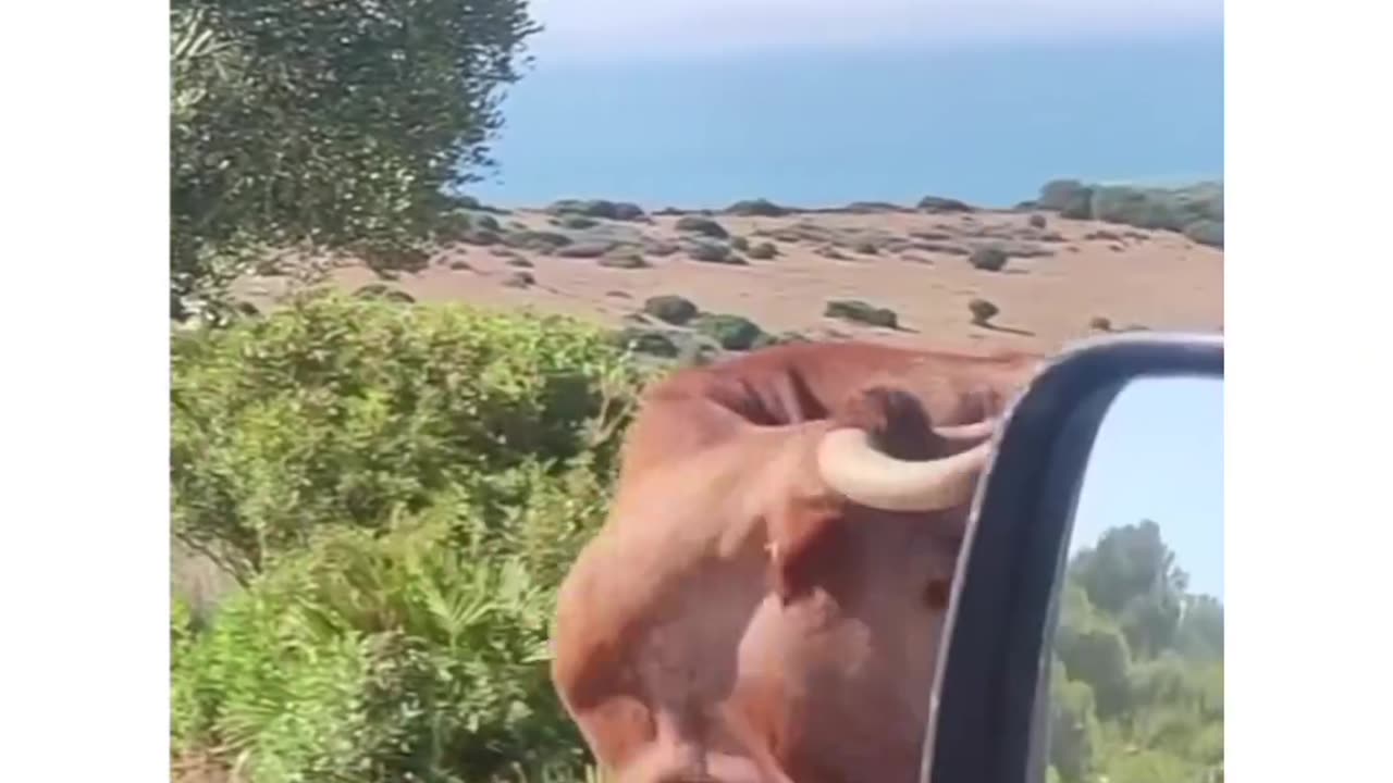 When you got your direction from the unexpected source