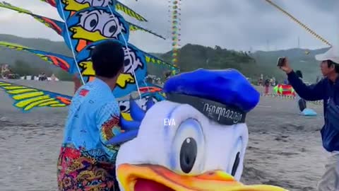 Duck Kite Ready to Fly