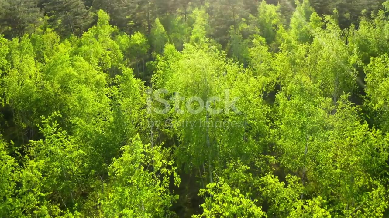 Interesting Information about dreams