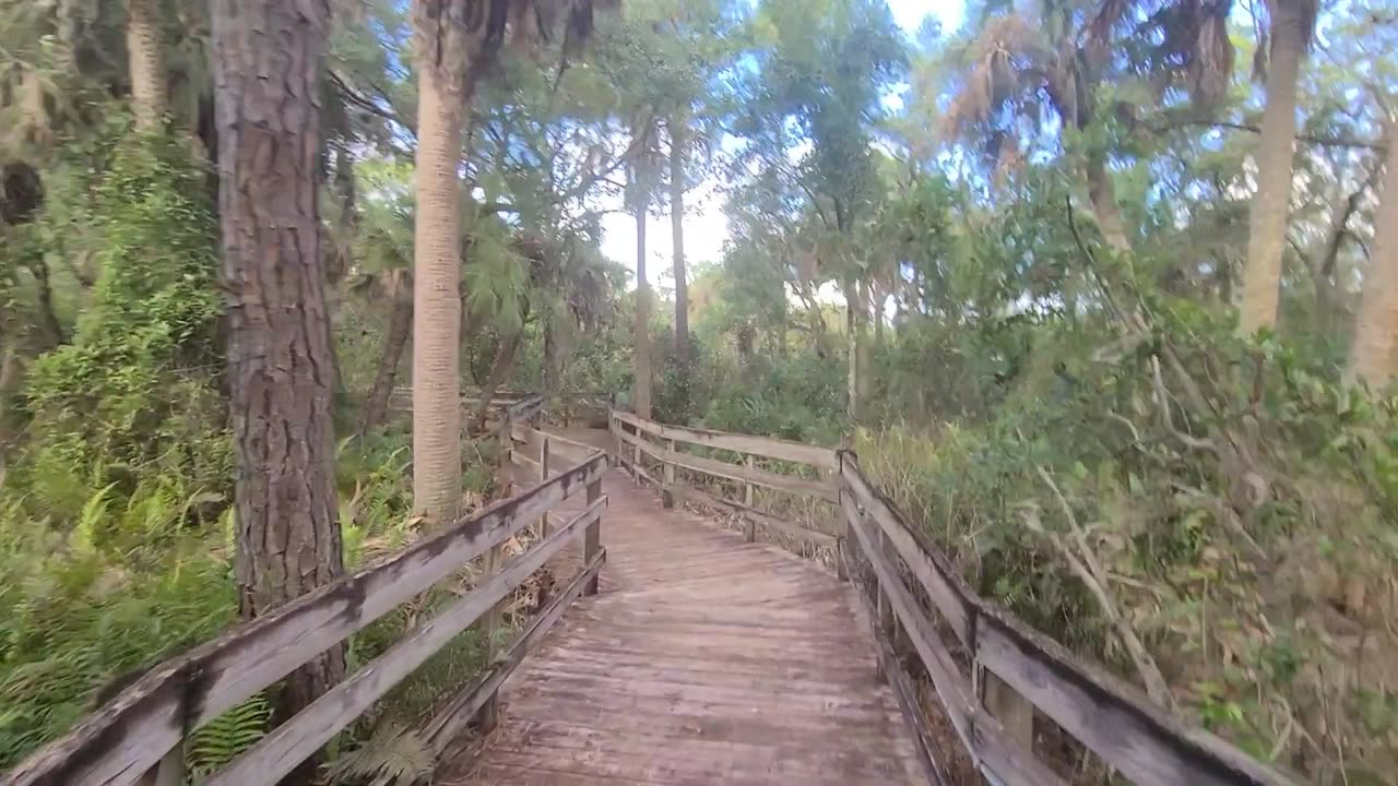 Merritt Island Rotary Park Trail