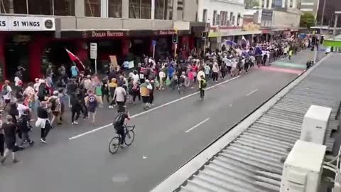 New Zealand | Pro Freedom Protest