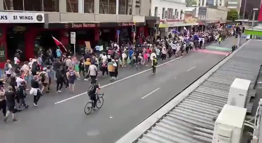 New Zealand | Pro Freedom Protest