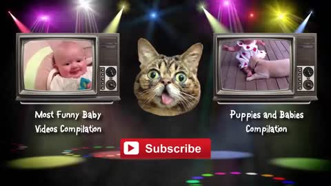 Funny Pet🐶🐱🐶 videos