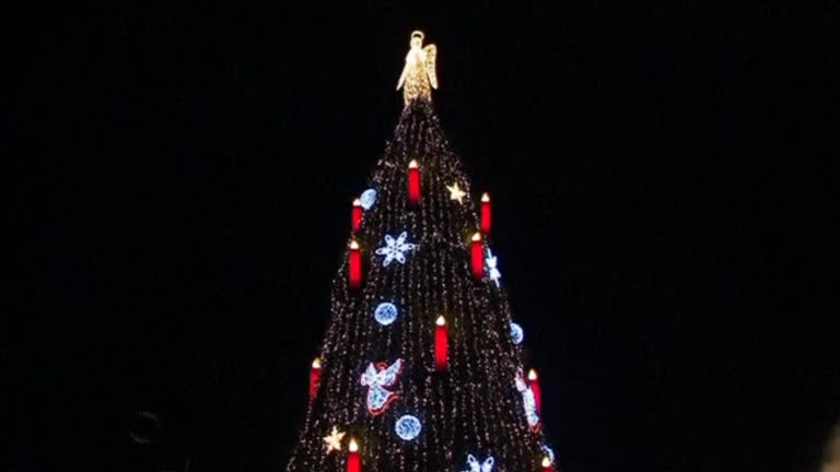 World's biggest Christmas tree lights up in Germany