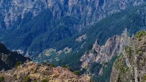 amazing natural view