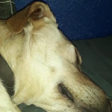 vlog 5 enjoying my free time