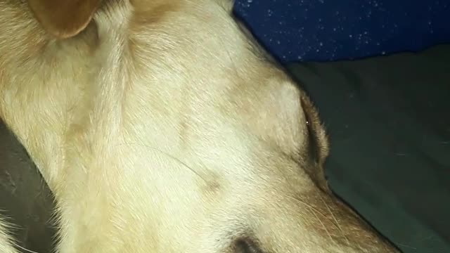 vlog 5 enjoying my free time