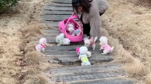 Everybody let’s go home!