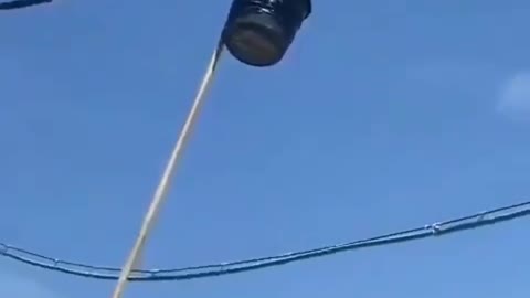 Guy Saves 2 Kittens Stuck On Power Line