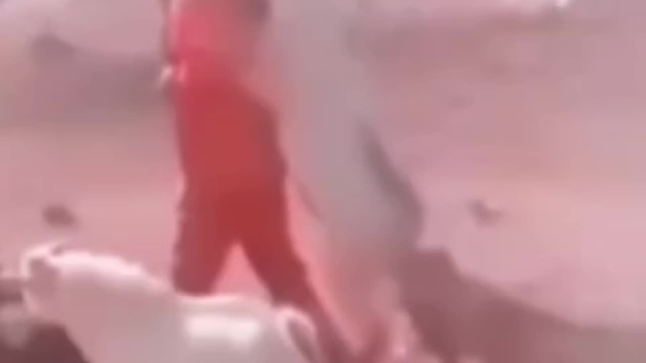 Funny video