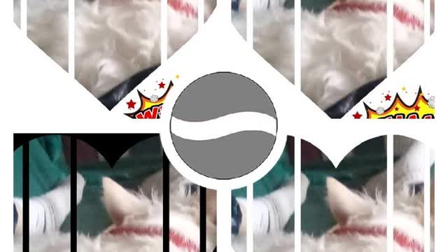 today video