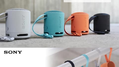 Travel Speaker,