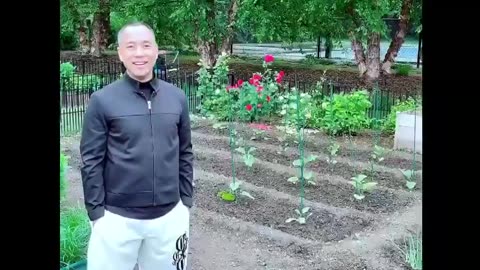 20210614文贵先生GETTR¹：七哥七嫂的花园和菜园