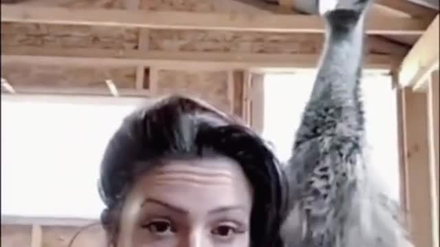 ❤️😹 Funniest Animals 😹 - Best Of 🙊❤️ Funny Animal Videos Ep 38 #Shorts#Pets ❤️