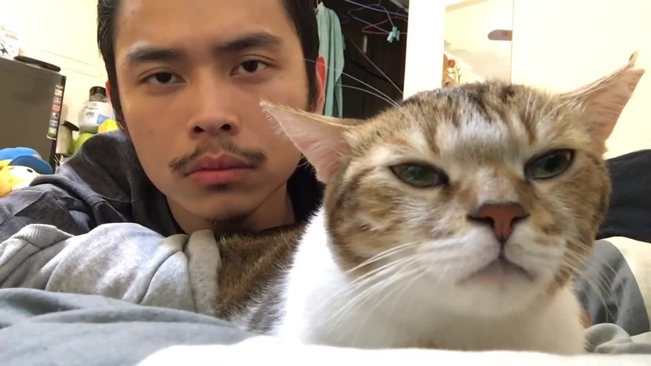 Cat vibes with his owner