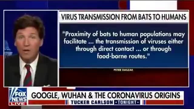 Tucker about Google & Wuhan