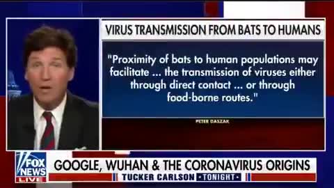 Tucker about Google & Wuhan