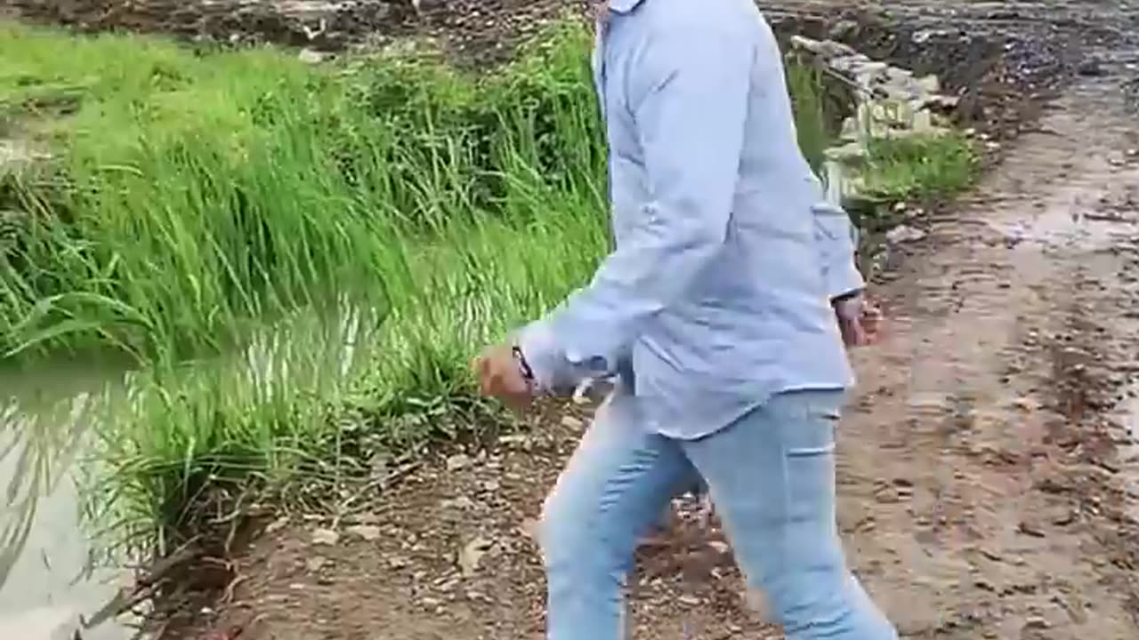 So Funny Videos