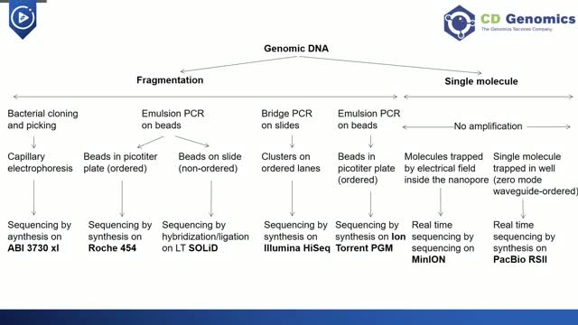 Methods and Workflow of Whole Genome Sequencing