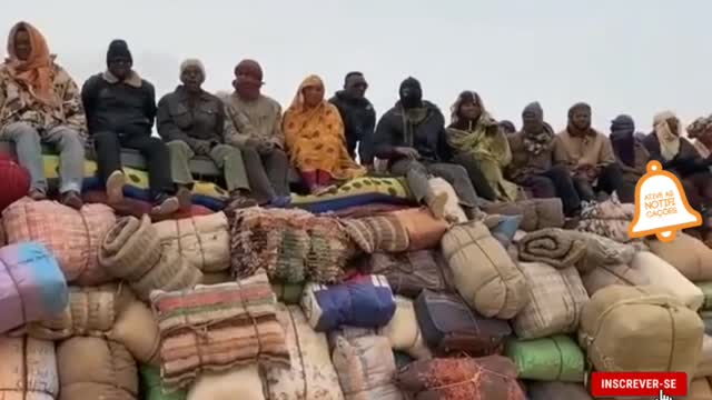 Chegando De Viagem Pra Que Ônibus