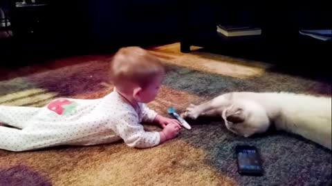 Very funny baby and cat videos - PART3