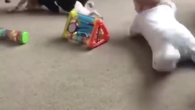 Every Dog Should Have A Child