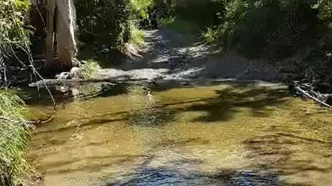 Klr650 water crossing