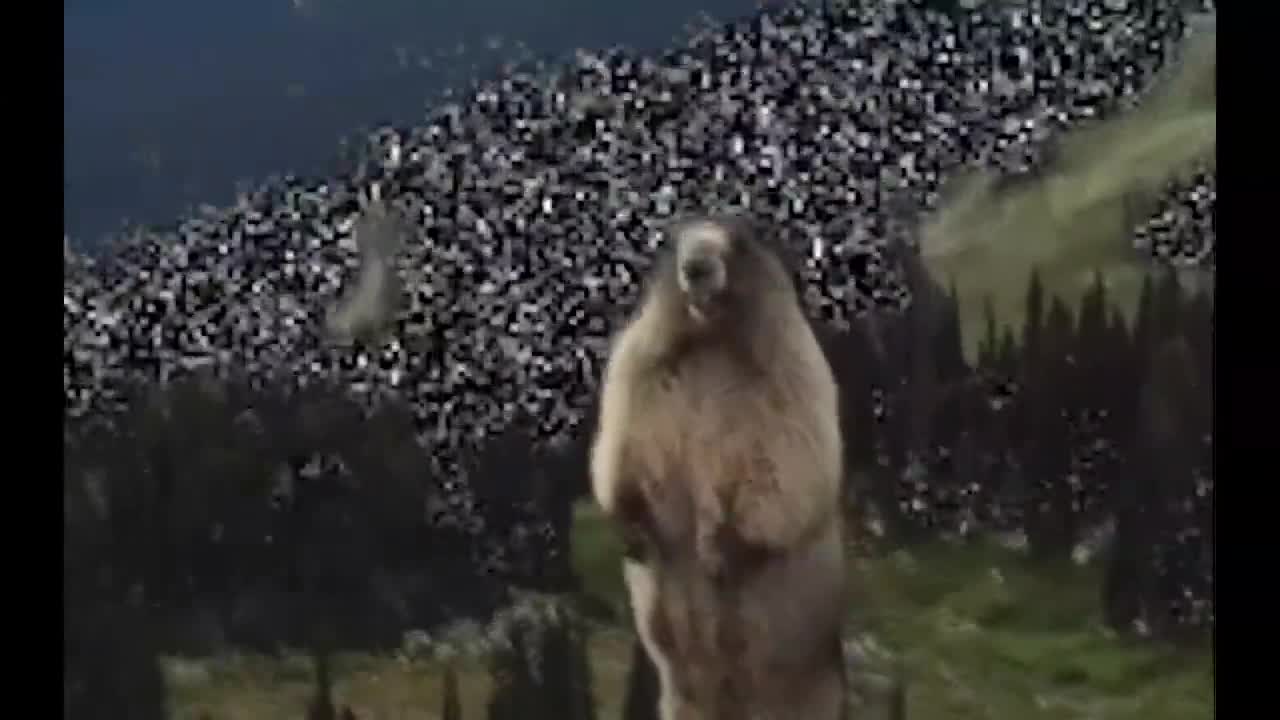 itgoesitgoesitgoesitgoesitgoesitgoes