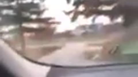 Приколи кицьки!