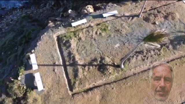 Welcome to Pedo island