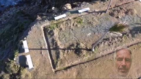 Welcome to Pedo island