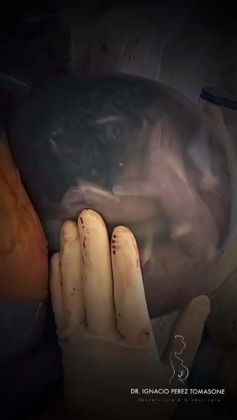 The miracle of life unfolding before your eyes