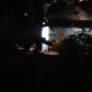 24.11.2024 Party in the Park, Kuranda (3)