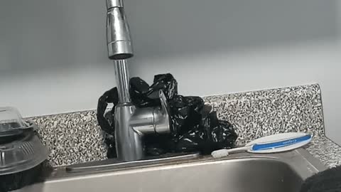 Eric Adams: The one to lead New York