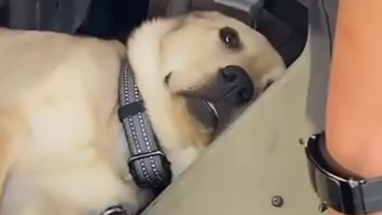When the sugar rush from the donuts wears off