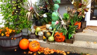 New Hampshire Pumpkin People